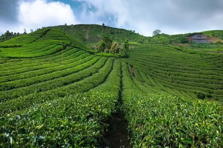 Tempat Wisata Solok - Karisma Event Nusantara