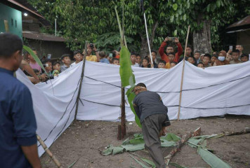 Atourin Pesona Hoyak Tabuik Piaman