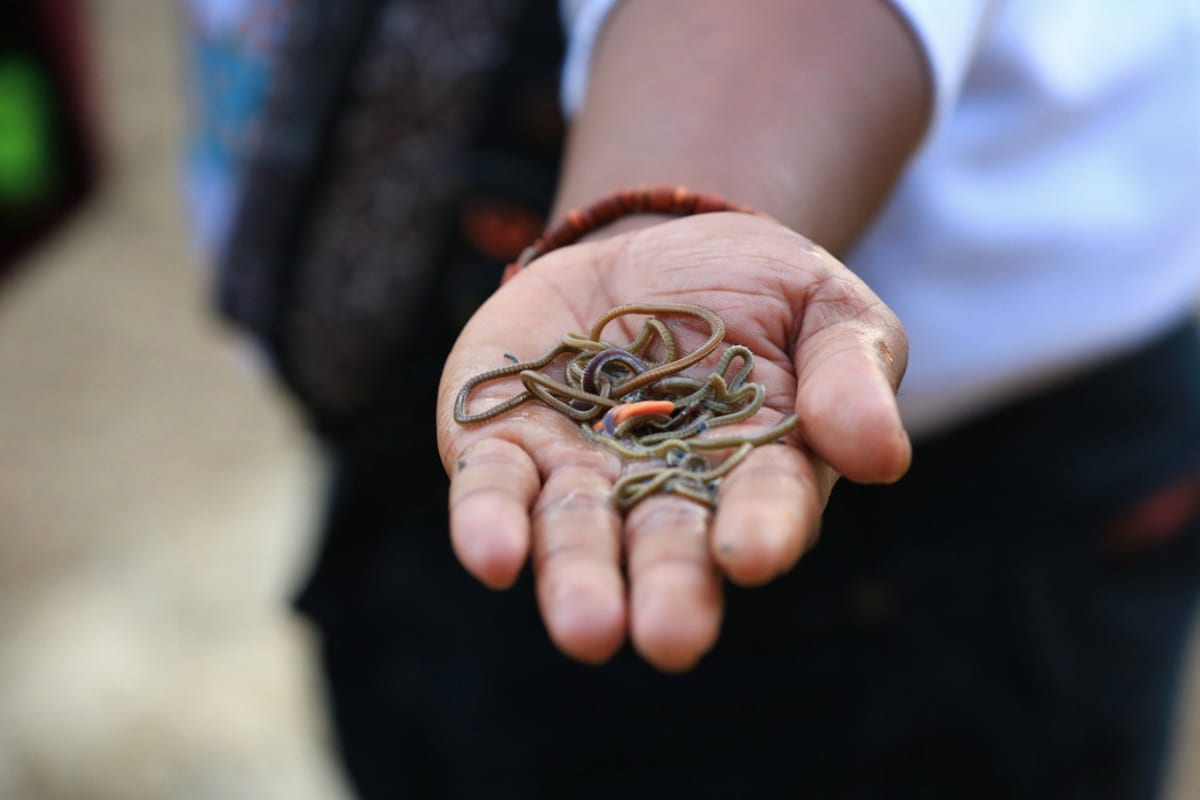Festival Pesona Bau Nyale image 3