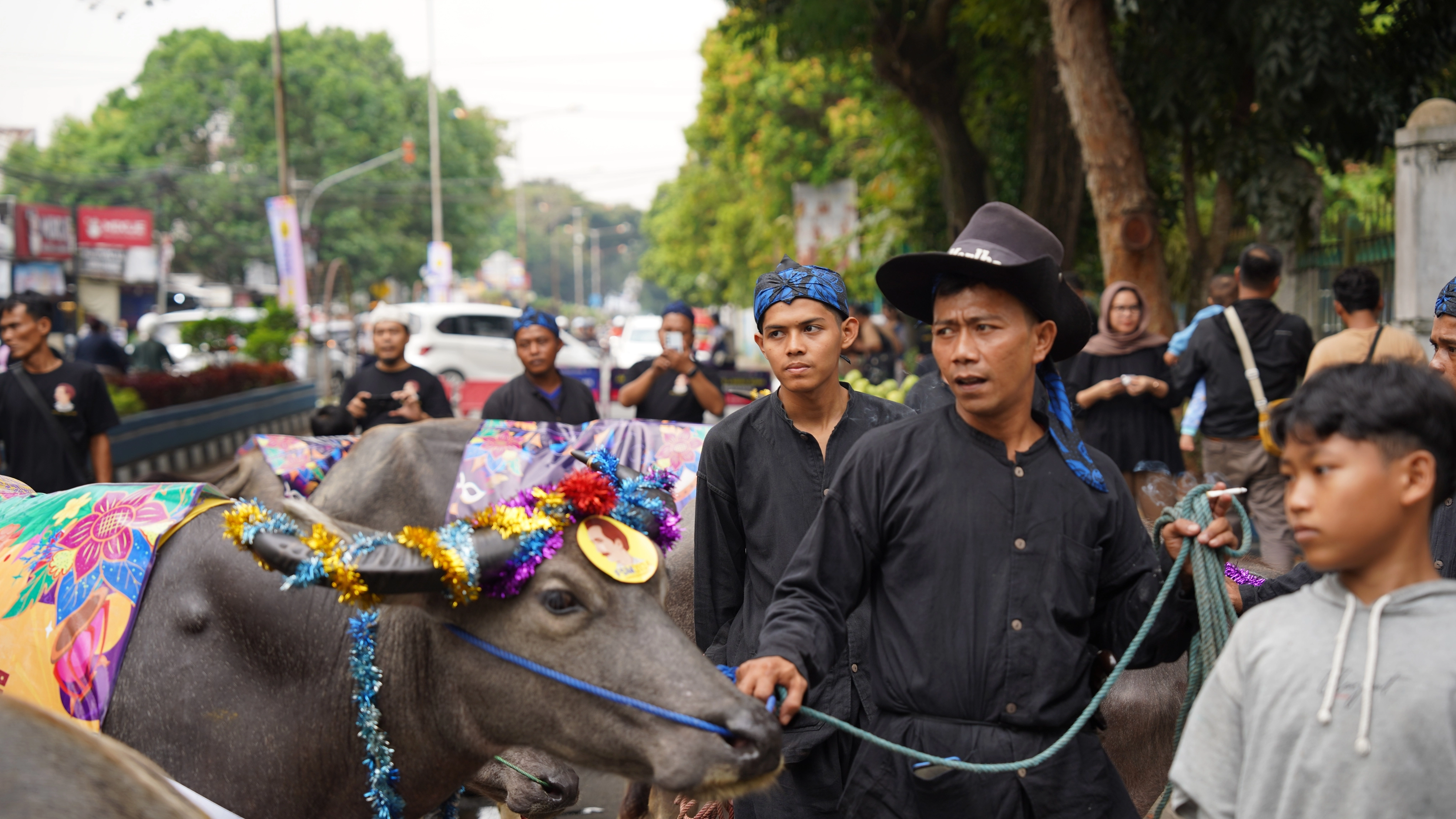 Parade Kerbau dan Teatrikal Saijah Adinda Meriahkan Kegiatan Festival Seni Multatuli di Rangkasbitung